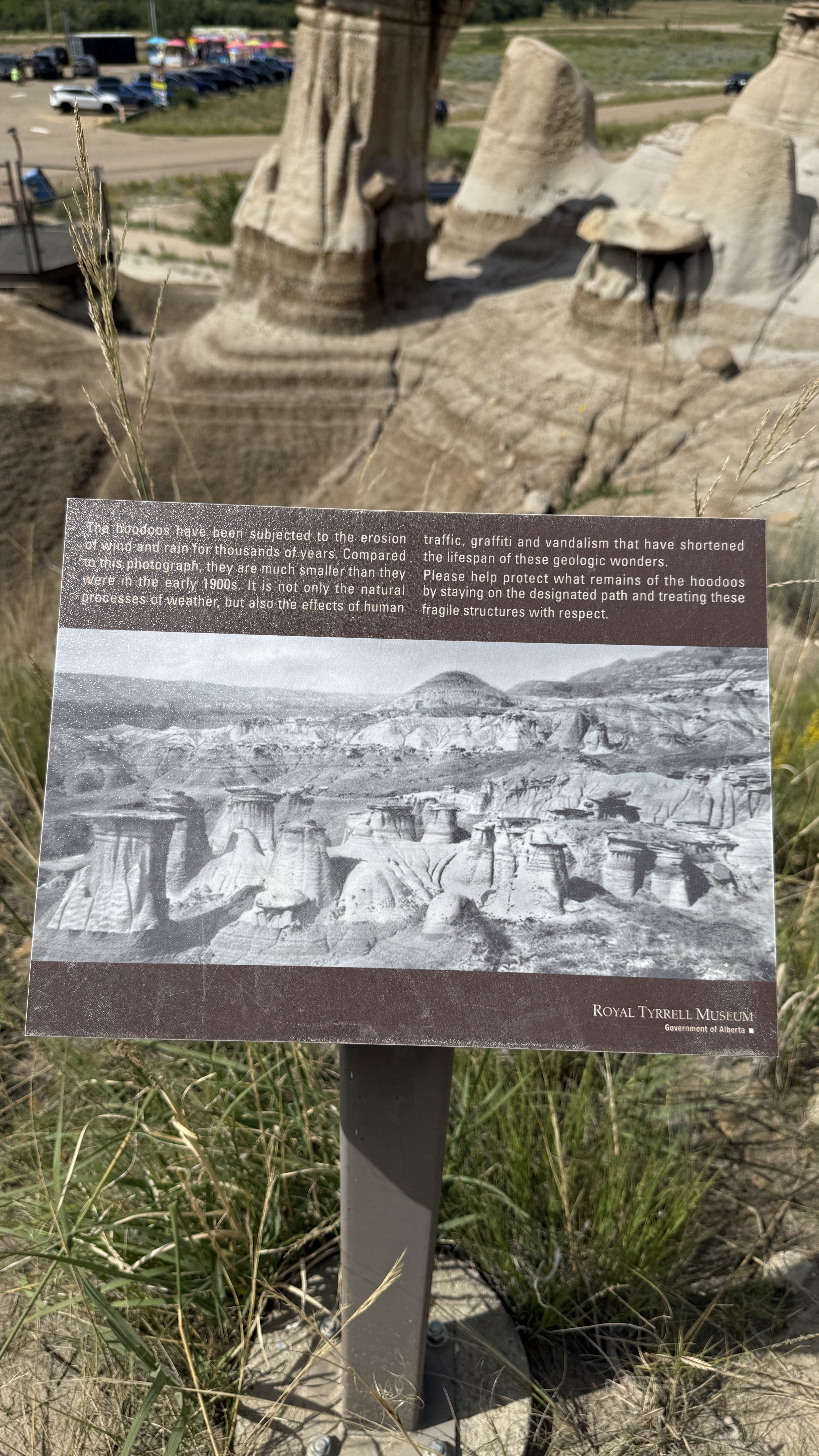 Willow Creek Hoodoos 照片 4
